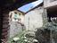 Immagine 20