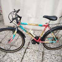 Mountain bike Gallesi