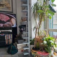 libreria modello Sapiens 