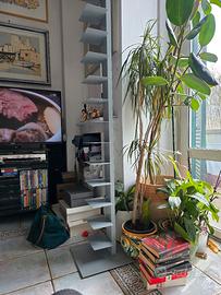 libreria modello Sapiens 