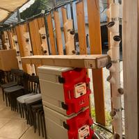 Coltivazione idroponica