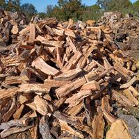 Legna da ardere di ulivo bio