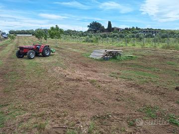 Terreno 5000mq