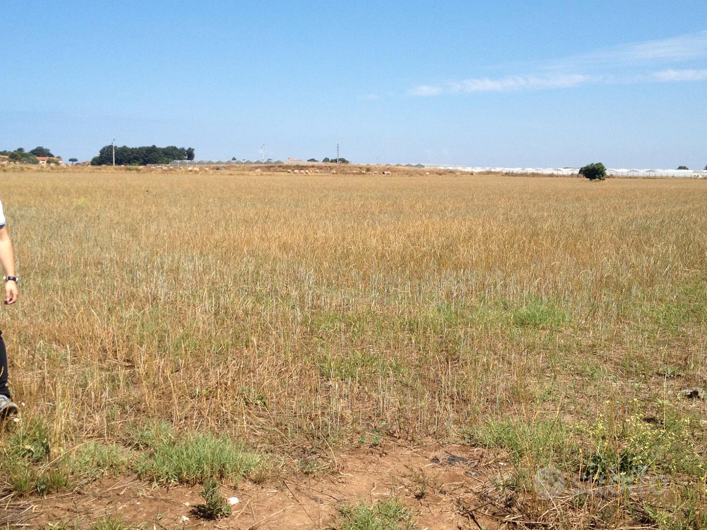 Terreni per fotovoltaico - Vista 2