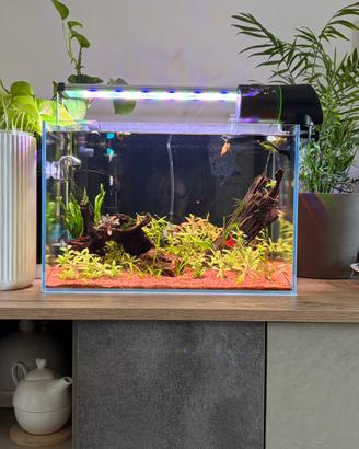 Vedo acquario aqpet + lampada twinstar 450 EA