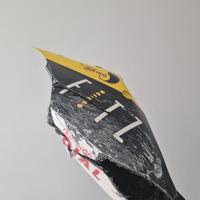 Andrea Iannone codone Ducati WSBK