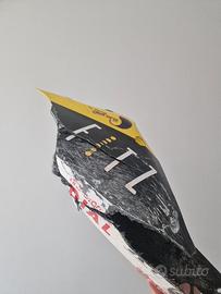 Andrea Iannone codone Ducati WSBK