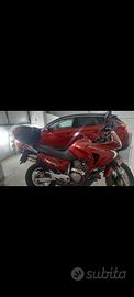 Honda transalp