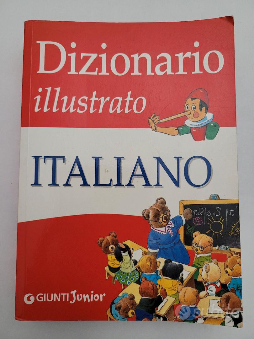 Libro dizionario illustrato - Libri e Riviste In vendita a Milano