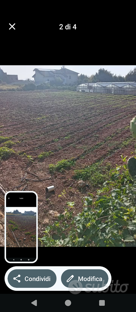 Terreno agricolo - Vista 3