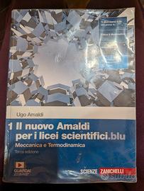 Il nuovo Amaldi per i licei scientifici.blu 