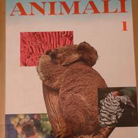 Enciclopedia sugli animali 