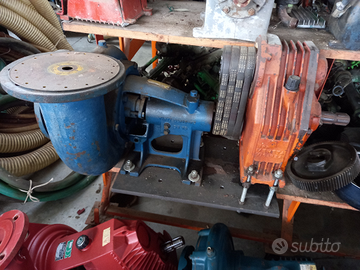 Pompa tinti per irrigazione da travaso