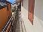 Immagine 12
