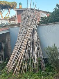 Canne per orto