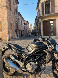 Suzuki Gladius 650