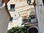 Immagine 13