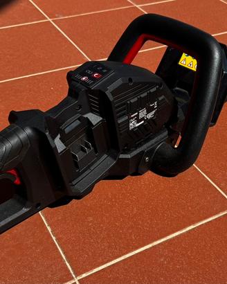 TAGLIASIEPI PARKSIDE PERFORMANCE 40v