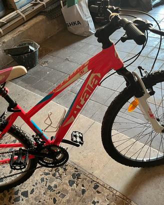 Mountain bike donna tag 26