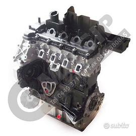 Motore semicompleto revisionato Cod. 204D3
