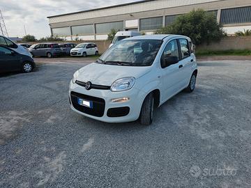 FIAT Panda 3ª serie - 2021