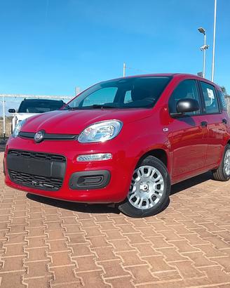 Fiat Panda 1.0 FireFly S&S Hybrid Icon