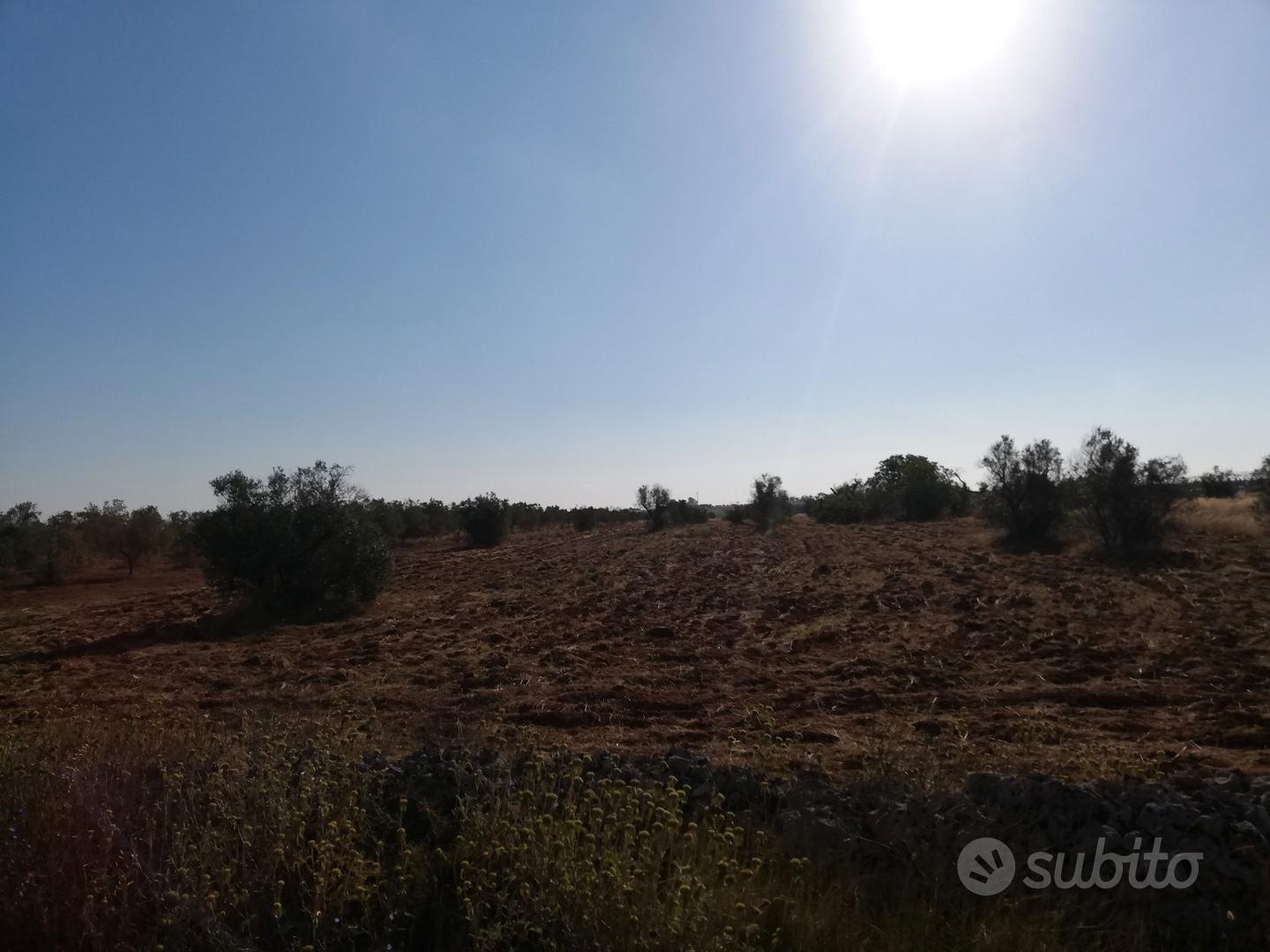 Terreno agricolo - Vista 2