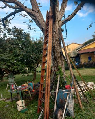scala doppia legno 