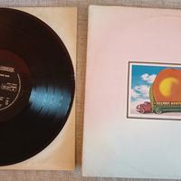 Vinile Allman Brothers