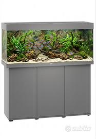 Acquario