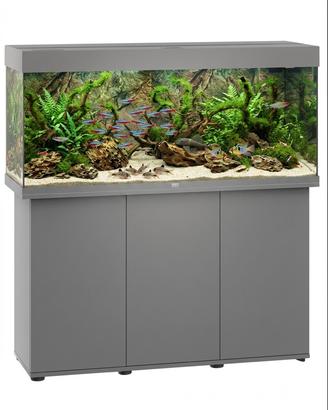 Acquario