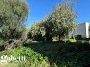 casa-indipendente-patti-cod-rif-3212139vrg-