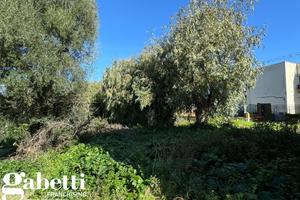 Casa Indipendente Patti [Cod. rif 3212139VRG]