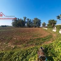 Terreno agricolo pianeggiante a Melissano