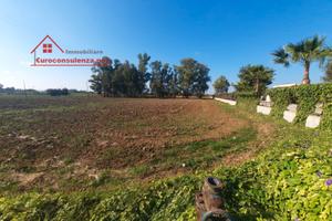 Terreno agricolo pianeggiante a Melissano