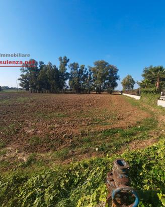 Terreno agricolo pianeggiante a Melissano