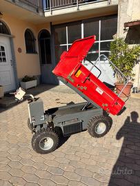 MOTOCARRIOLA A BATTERIA