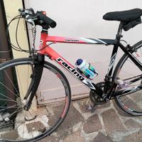 bicicletta da corsa