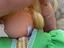 Immagine 6
