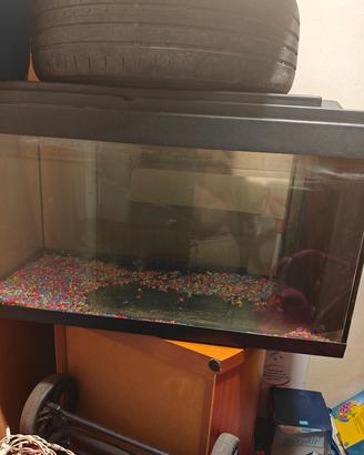  acquario 100 lt