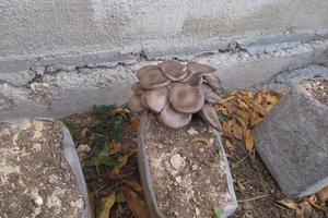 Porzione terreno agricolo con luce e acqua