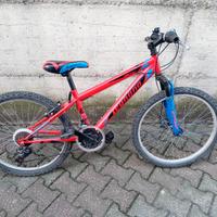bicicletta per ragazzi 