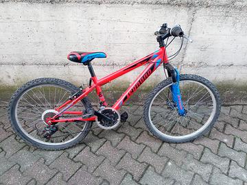 bicicletta per ragazzi 
