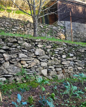 Vendita Terreno - Zona Santa Maria - Rapallo