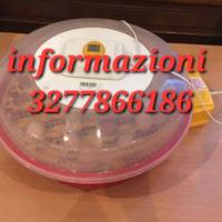 Incubatrice per pulcini