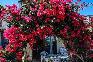 Pittulongu OLBIA - Trilocale splendida vista mare