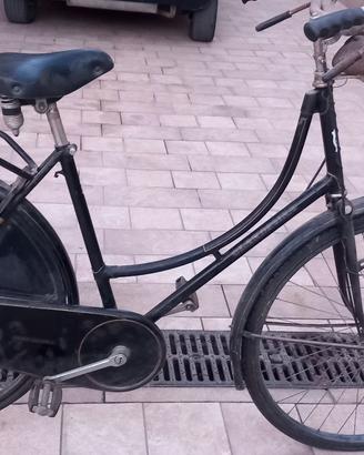 bicicletta da passeggio olandesina