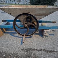 pigiatrice diraspatrice uva