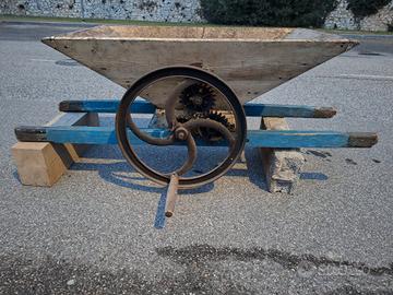 pigiatrice diraspatrice uva