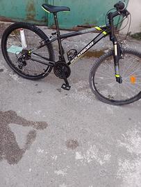 Mountain bike